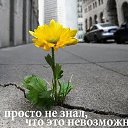 ���� �������, �����, 60 ��� - ��������� 24 ����� 2019 � ������ ������ ��������