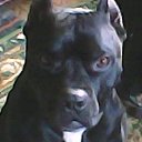 ���� ���������, ����, 65 ��� - ��������� 23 ������� 2019 � ������ ������ ��������