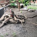 ���� ������, �����-��������� - ��������� 17 ������� 2019 � ������ ������ ��������