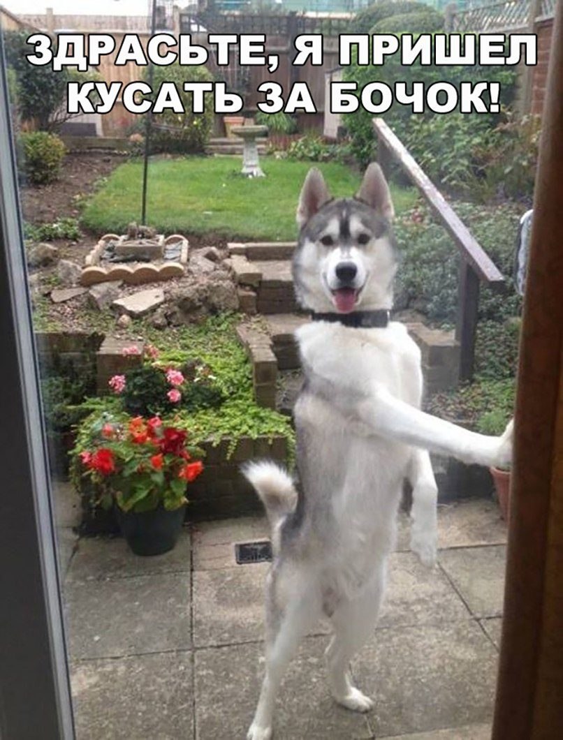 ***Victoria Viktorovna*** - 14  2018  16:52