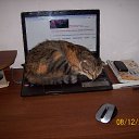 ���� ������ �������, ������������, 56 ��� - ��������� 8 ������� 2018 � ������ ���� ����������