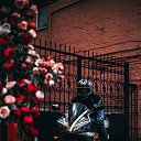 ���� &dagger;Single&dagger;&trade;, ������-��-���� - ��������� 24 ������� 2018