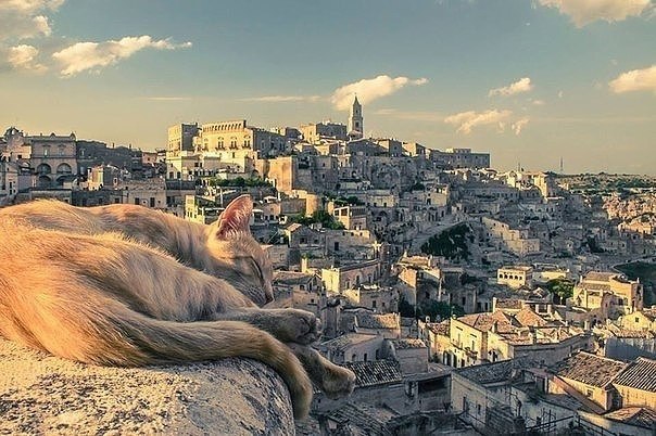     ...  :   (Matera)