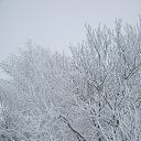 ���� ���������, ���� - ��������� 26 ������� 2018 � ������ �����-��������� ����� ����� �����