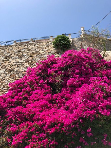 Syros, Greece.:   - 5