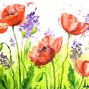 ���� �������, ���� - ��������� 16 ������ 2018 � ������ ���� ����������