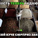 ���� �����, ����������� - ��������� 7 ������� 2019 � ������ ������ ��������
