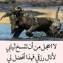 ���� Yasser, ������, 53 ���� - ��������� 2 ����� 2019 � ������ ������ ��������