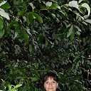  ,  , 50  -  29  2018    