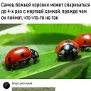 ���� �������, ���������, 46 ��� - ��������� 28 ������ 2018 � ������ ������ ��������