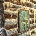 ���� Ozzy, ������, 51 ��� - ��������� 16 ������ 2018 � ������ ������� ������ 2018�