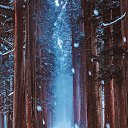  Nata Li,  -  10  2018    