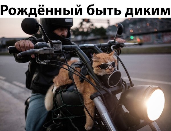 ��� ���� � ����� �� �� - 18 ������� 2018 � 16:37