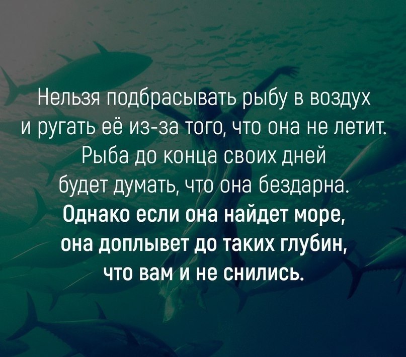 BEST | , ,  - 29  2018  16:40