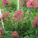 ���� �������, ������� �����, 55 ��� - ��������� 21 ������ 2018 � ������ ���� ����������