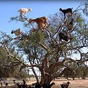 ���� ���������, ������������, 52 ���� - ��������� 1 ����� 2019 � ������ ���� ����������