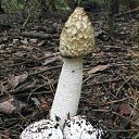  ••,  -  13  2018       