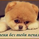 ���� �@�����, ������ ��������, 52 ���� - ��������� 20 ������� 2018 � ������ ���� ����������