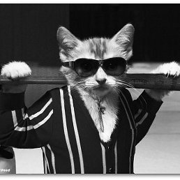 �������, ����������, 45 ���