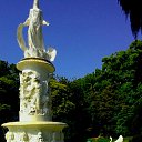 ���� ������, ���� - ��������� 8 ������� 2019 � ������ ���� ����������