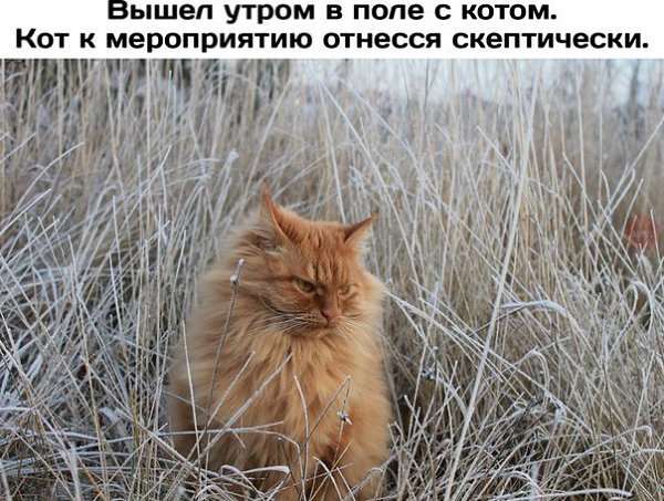    - 29  2018  16:29