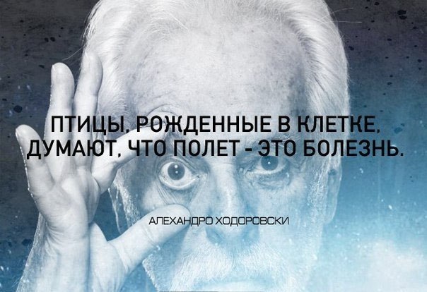=Fox= - 26  2019  22:05