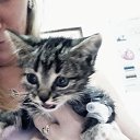  , -, 45  -  22  2018    