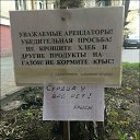 ���� ����, ������������, 39 ��� - ��������� 15 ������� 2018 � ������ ������ ��������