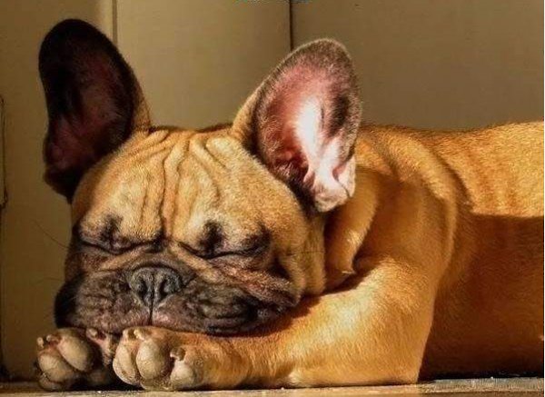 ������ ���� � ������ ����!