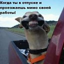 ���� D, ������������, 42 ���� - ��������� 30 ������� 2018 � ������ ������ ��������
