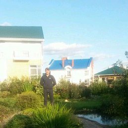 ���� ����, ������������, 44 ���� - ��������� 25 ������� 2019