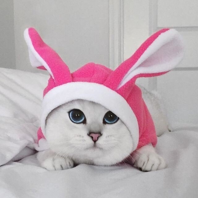   !