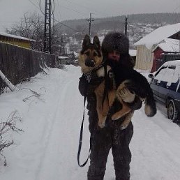 �������, ������, 52 ����