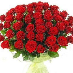 ���� �����, �����������, 41 ��� - ��������� 9 ������� 2019