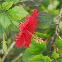 ���� ��������, ������, 78 ��� - ��������� 8 ������ 2019 � ������ ������ ��������