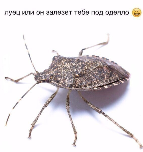    :D - 26  2019  16:50
