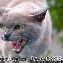 ���� ����, ������ �������� - ��������� 1 ������� 2019 � ������ ���� ����������