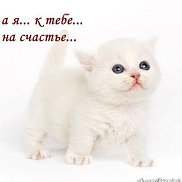 �������, 57 ���, ������