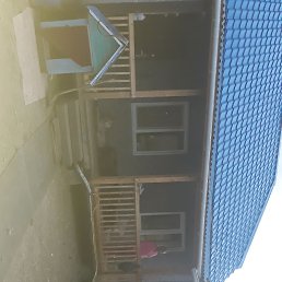 ���� ������, �����������, 66 ��� - ��������� 11 ������ 2018