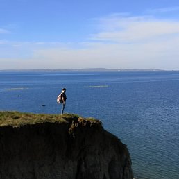 ������, �������-�����, 33 ����