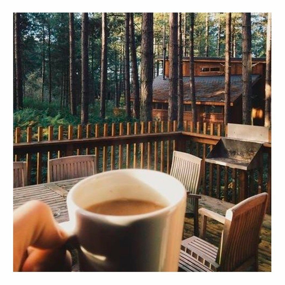 ������� �������� �������� ���� �����, ����� ����� ���� ���� ����� ������. � ������ ������