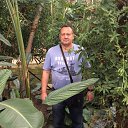 ���� �������, ������, 63 ���� - ��������� 31 ������� 2018 � ������ ���� ����������