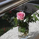 ���� �����, ������, 64 ���� - ��������� 20 ������� 2018 � ������ ���������� 2018�