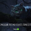 ���� ���������, �������, 23 ���� - ��������� 5 �������� 2018 � ������ ���� ����������