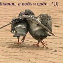���� Nina, ������ - ��������� 7 ������� 2018 � ������ ������- ����...�