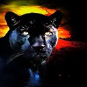 ���� �����, �����������, 44 ���� - ��������� 21 ����� 2019