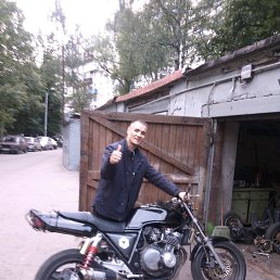 �����, �����-���������, 41 ���