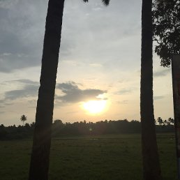 ���� �������, ������ - ��������� 7 �������� 2018
