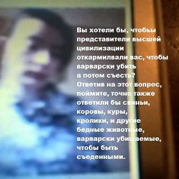 �����, ������, 44 ����