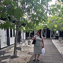 ���� Martin, �����������, 62 ���� - ��������� 5 ������� 2019 � ������ ������ ��������